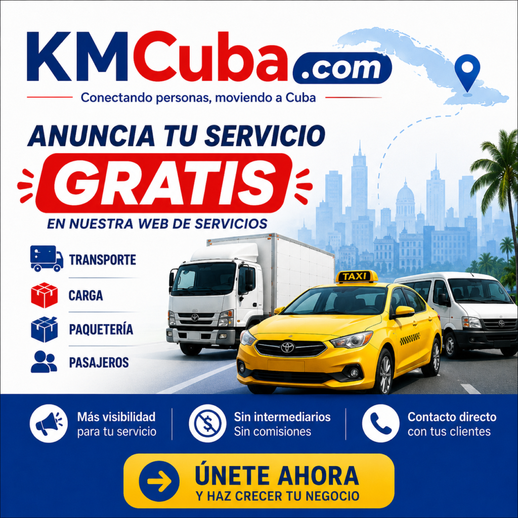 Camion de Carga