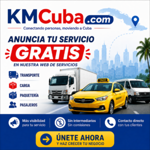 Camion de Carga