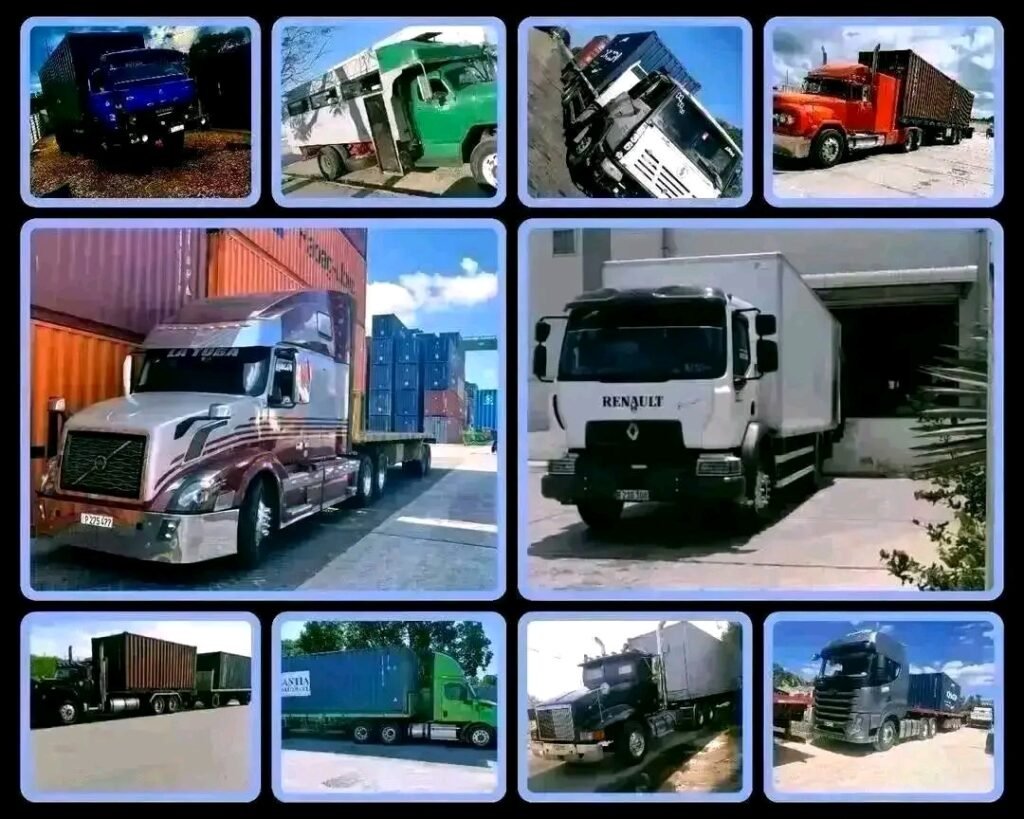 Transporte Nacional de Cargas