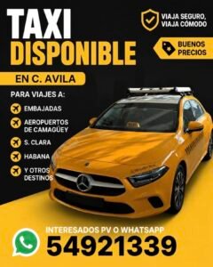 Mercedes Benz TAXI