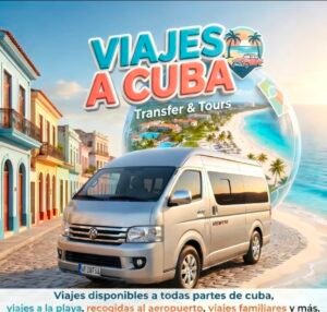 Microbus foton